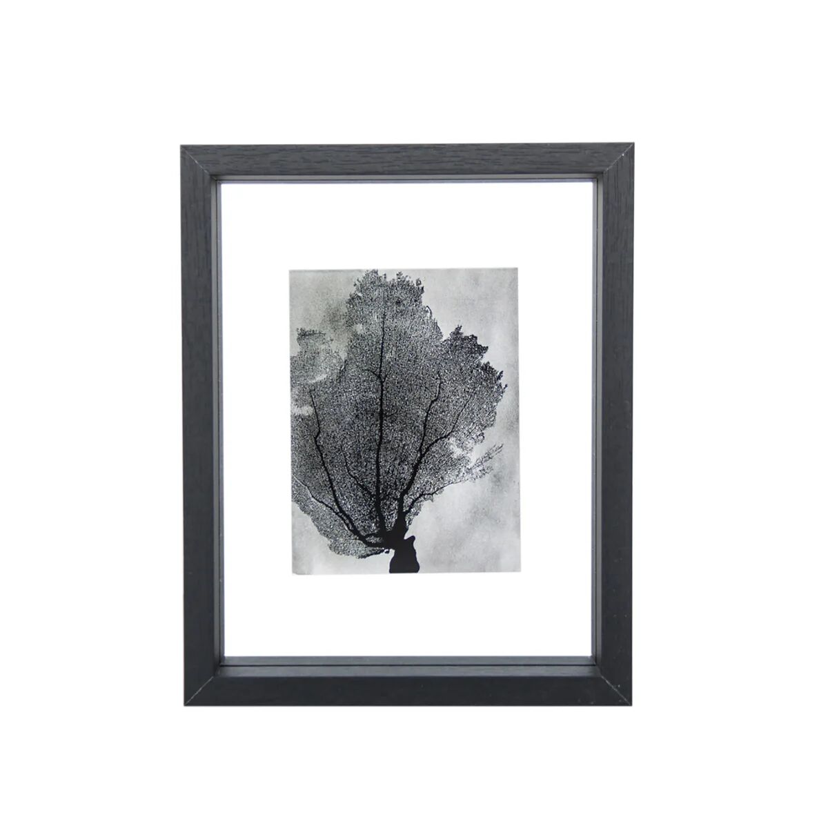 URBAN NATURE CULTURE Floating tavleramme 15x20 cm Black