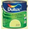 Farba Dulux Kolory Świata bambusowy gaj 5l