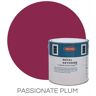 Protek Royal Exterior Paint 5 Litres - Passionate Plum - Protek Royal Exterior Paint 5 Litres - Passionate Plum