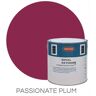 Protek Royal Exterior Paint 1 Litre - Passionate Plum - Protek Royal Exterior Paint 1 Litre - Passionate Plum