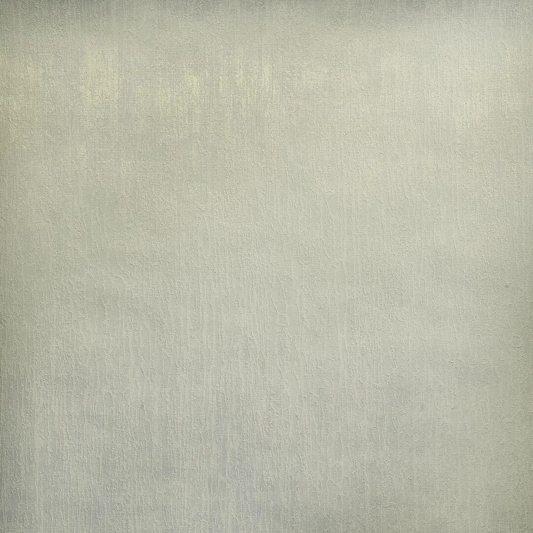 Photos - Wallpaper Brayden Studio Mercury Metallic Plain Texture 10.05m x 53cm  Roll