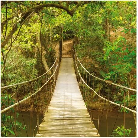 East Urban Home Jungle Bridge in the Forest Semi-Gloss Wallpaper Roll East Urban Home Size: 2.4m x 240cm  - Size: 4.32m x 290cm