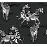 NextWall 40.5 sq. ft. Charcoal Playful Zebras Vinyl Peel and Stick Wallpaper Roll