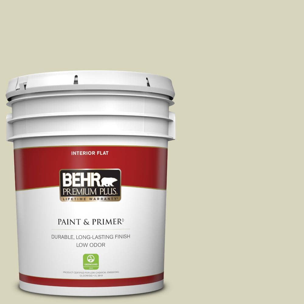 BEHR PREMIUM PLUS 5 gal. Home Decorators Collection #HDC-SM14-9 Thin Mint Flat Low Odor Interior Paint & Primer