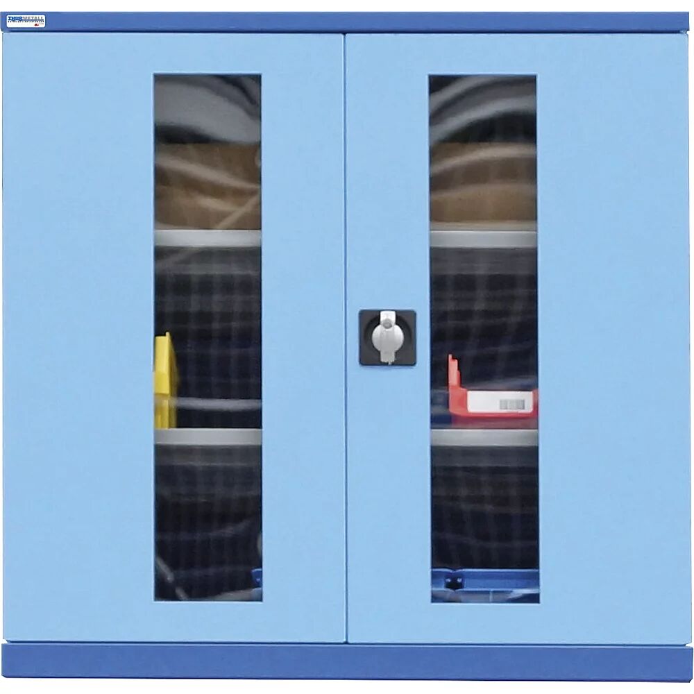 Sichtfenstertüren hellblau NCS S 1060-R80 B Höhe 1000 mm, Breite 805 mm