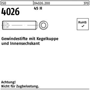 Gewindestift ISO 4026 Kegelkuppe/Innen-6-kant M 8 x 8 45 H