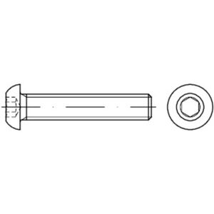 Sonstige Linsenschraube Iso 7380-1 Stahl 10.9 M 5x 10