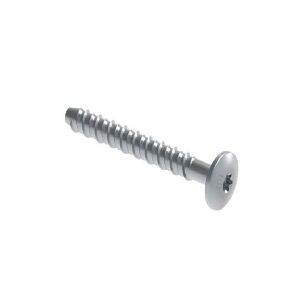 Walraven betonskr 6x40 Ø17mm - Elgalv. panh. torx 30 revnet/ej revnet beton. 100 stk/æske