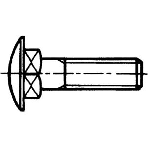 D603-4.8-Fzb M12x70 Frh Br.Bol