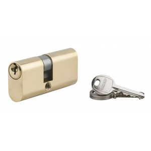 Cylindre à clé crantée ovale 28x35mm 3 clés - Thirard - Publicité