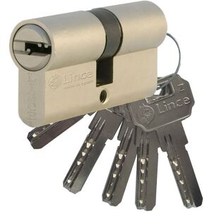 Verin De Securite Multipoint Serie C2, Came Longue, 32+32mm, Nickel 9c253232n Lince - LINCE