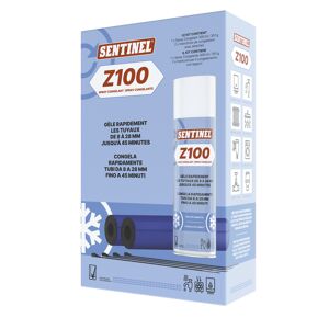 SENTINEL Kit complet spray congelant pour tuyauterie Z100 Sentinel