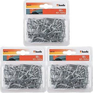 Rivet Pop Rivets Plaque Immatriculation Noir Aluminium pour Pince a Rivet  100 Pcs Rivets Aveugles Rivet 4 mm x 6 mm Rivet Inox Plein Alu Pop Tete