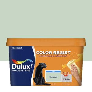 Peinture Dulux Valentine Color Resist - Murs&Boiseries; - Mat Vert Saule - 2,5L