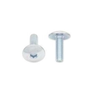 Vis tête bombée plate Bolt M5x0,80x20mm (10 pièces)