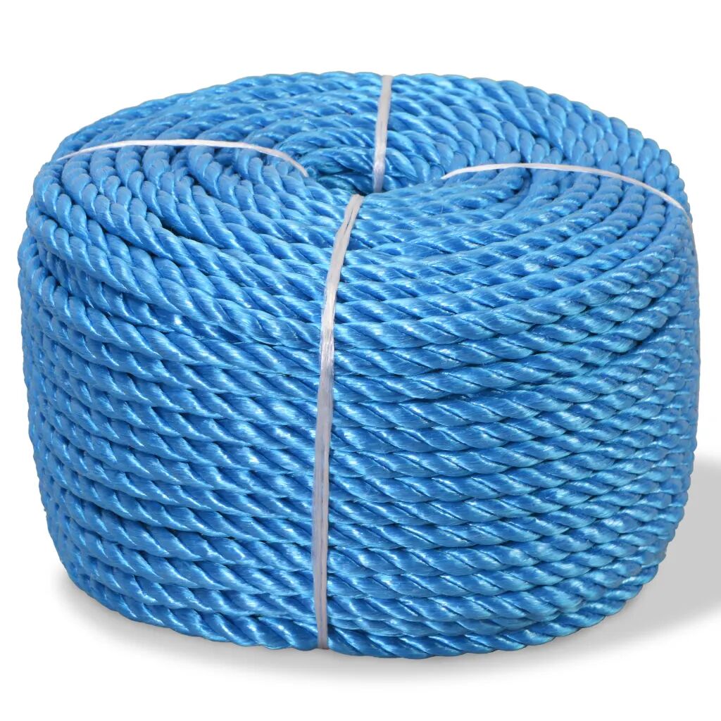 vidaXL Touw gedraaid 10 mm 250 m polypropyleen blauw