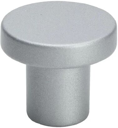 Beslag Design Knob 2078-28 Inox Look (Set of 6) Beslag Design Finish: Grey