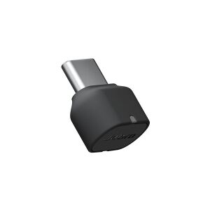 GN Audio Jabra LINK 380c UC - For Unified Communications - netværksadapter - USB-C - Bluetooth - for Evolve2 65 MS Mono, 65 MS Stereo, 65 UC Mono, 65 UC Stereo, 85 MS Stereo, 85 UC Stereo