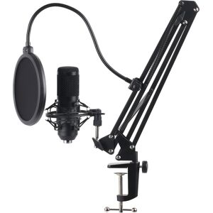 Hyrican Mikrofon »USB Streaming Mikrofon Set ST-SM50 mit Mikrofonarm, Spinne... eh13 Größe