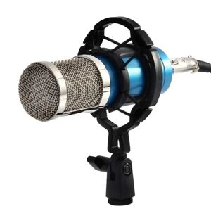 NSF Mikrofon Stativ Universal Professionel Kondensator Mic Stød Mount Holder Studio Optagelse Bracket Til Stor membran Mic Clip