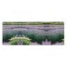 CarXs Lavendel en Daisy grote muismat 30 x 80 cm buitengewone antislip muismat waterdicht en duurzaam