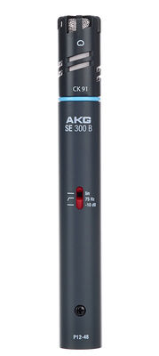 AKG C 391 B