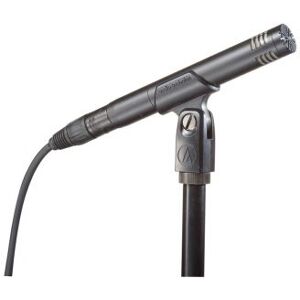 Audio Technica Microphones à Petite Membrane/ AT2031