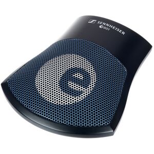 Sennheiser E 901