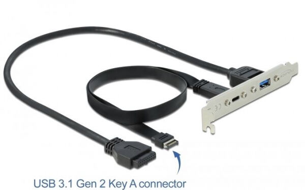 DeLock 89934 - Slotblech mit 1 x USB Type-C und 1 x USB Typ-A Port