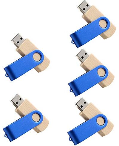 5-pack trä USB-minne minne USB 2.0/3.0 minnessticka med trä (2,0/2 GB)