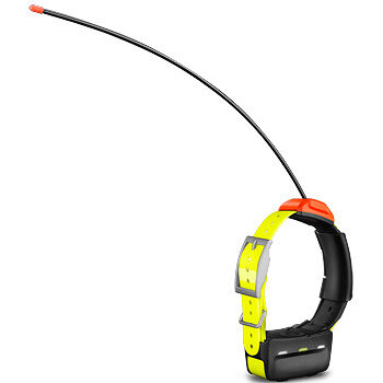 Garmin Halsband T5 till Alpha 100 / Astro 320