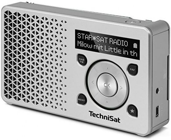 TechniSat DigitRadio 1 - DAB+ Radio - Silber