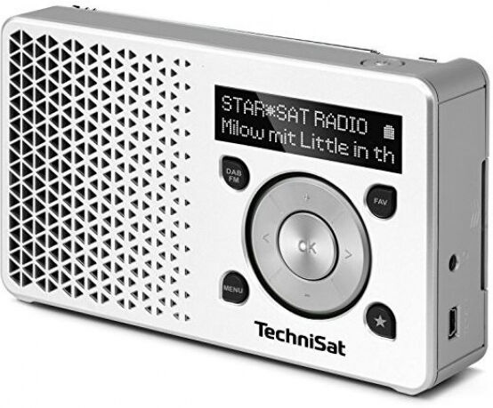 TechniSat DigitRadio 1 - DAB+ Radio - Weiss/Silber