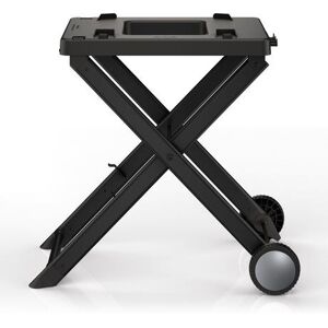 Ninja XSKGRLLSTDEUK Woodfire Electric BBQ Grill Stand