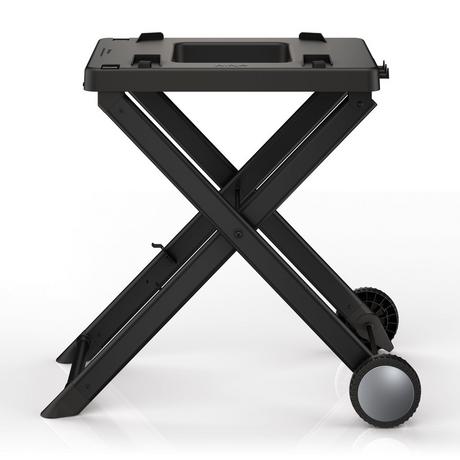 Ninja XSKGRLLSTDEUK Woodfire Electric BBQ Grill Stand