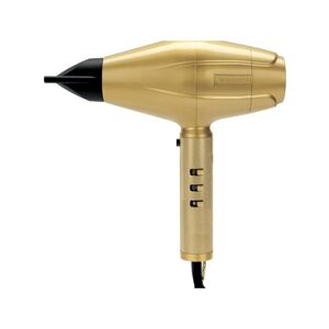 BabylissPro 4 Artists Phon 2200 Watt, Gold FXBDG1E