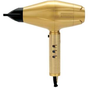 Babyliss Pro ArtistsPhon Digitale Gold FX 2200 W