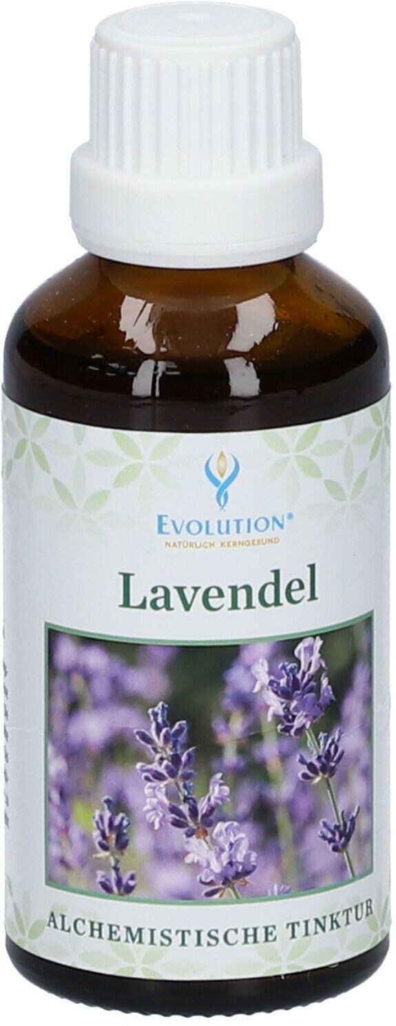 EVOLUTION GMBH Evolution® Lavendel