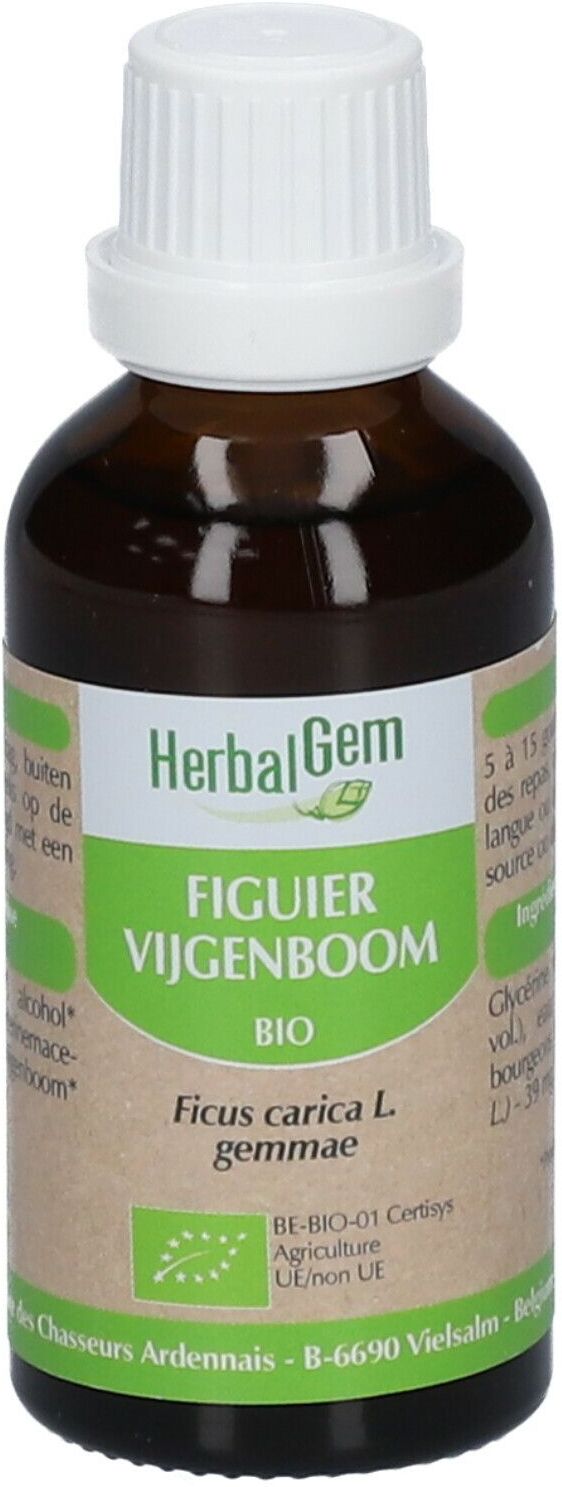 HerbalGem Feigenbaum Bio