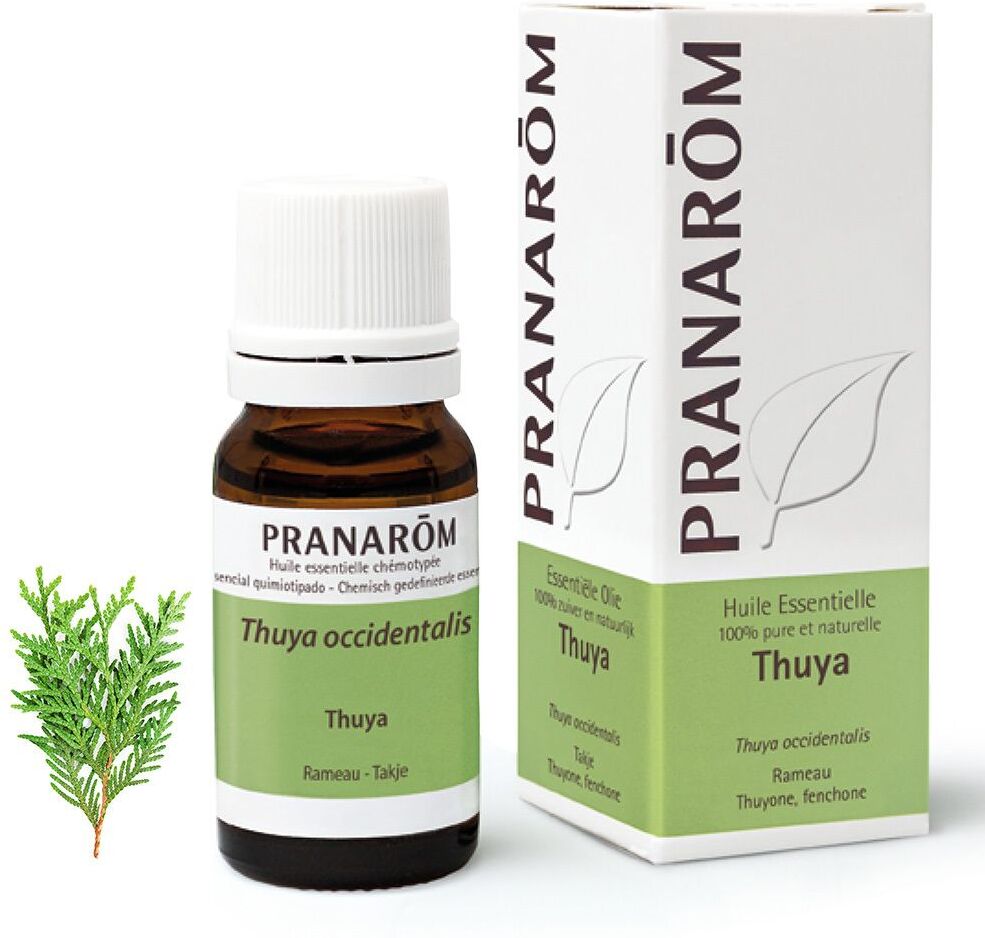 Pranarôm Pranarom Thuja