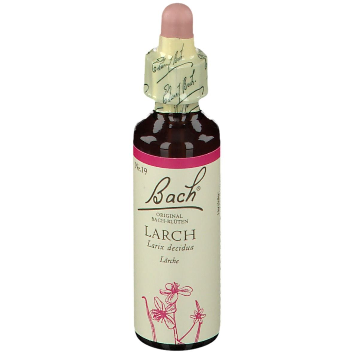 Bach®-Blüte Larch (Lärche)