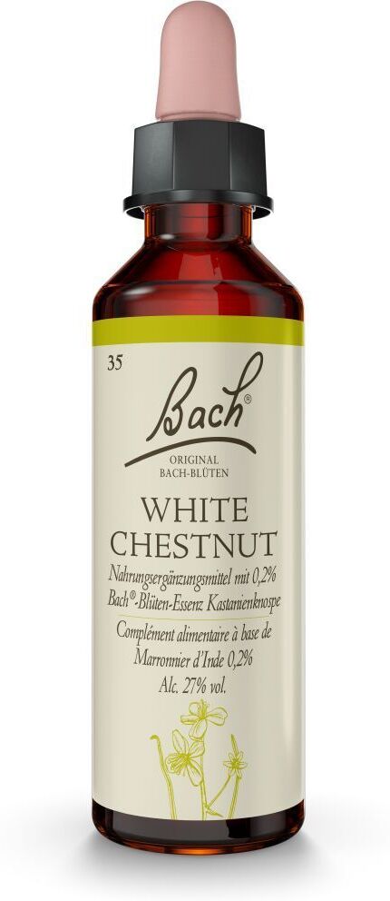 Bach®-Blüte White Chestnut (Weiße Kastanie)