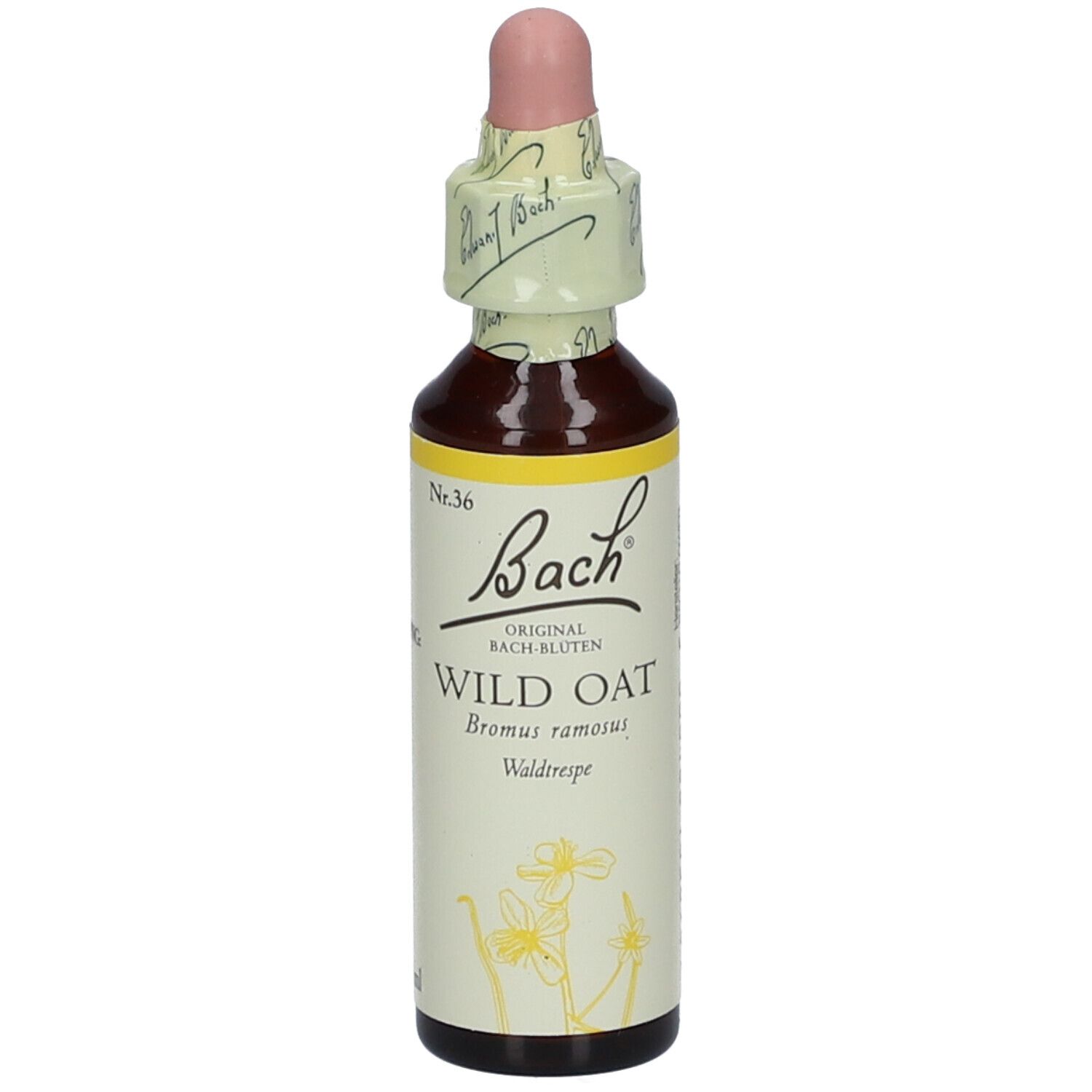 Bach®-Blüte Wild OAT (Waldtrespe)