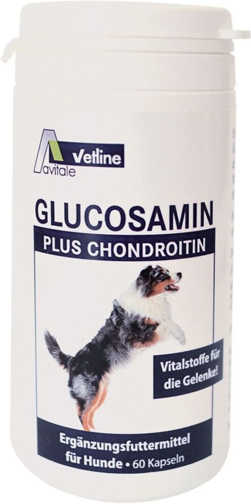 Avitale vetline Glucosamin + Chondroitin