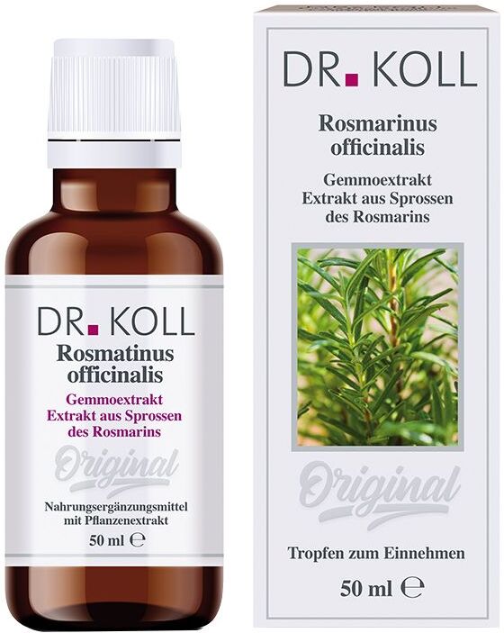 DR. Koll Rosmarinus Officinalis Gemmoextrakt Rosmarin