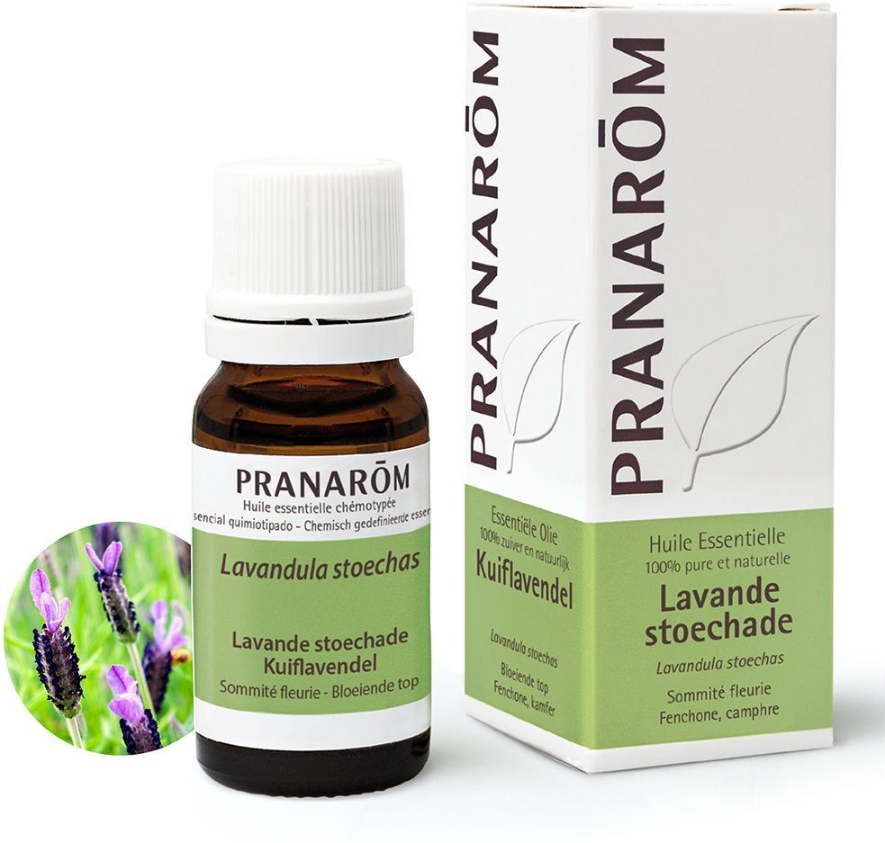 PRANAROM FRANCE Pranarôm Ätherisches Öl Lavendel Stoechade