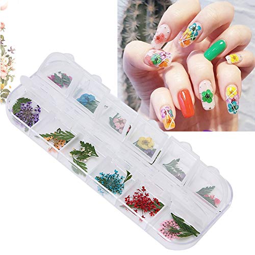 Shanrya 12 kleuren/doos gedroogde bloem nagel gedroogde bloem, diy nagel gedroogde bloem, nail art decoratie voor nagellak acryl hars uv gel(Stijl E)