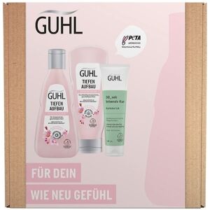 Guhl Haarpflege Conditioner Geschenkset Reparatur Shampoo 250 ml + Reparatur Spülung 200 ml + Intensiv Kur Reparatur 100 ml