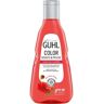 Guhl Colorschutz & Pflege Shampoo 250 ml