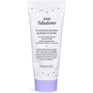 Evo Fabuloso Platinum Blonde Tube Colour Treatment 220ml